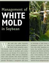 White Mold update