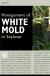 Management of White Mold