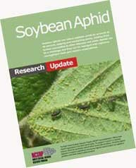 soybean aphid update 2011