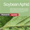 Soybean Aphid update 2011