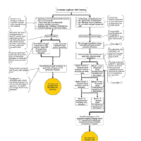 flow chart