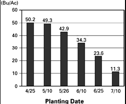 plant date