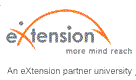 extension logo