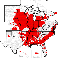 SCn distribution