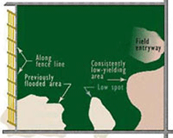 SCN hotspots