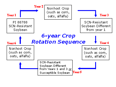 SCN mgmt