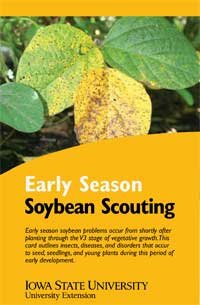 early season scouting