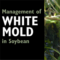 NCSRP white mold management publication